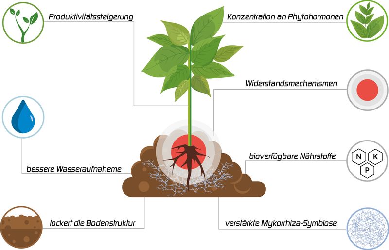 Vorteile der Biostimulation für erfolgreiche Landwirtschaft.