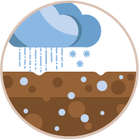 Bodenorganismen erhöhen Wasserinfiltration in Boden