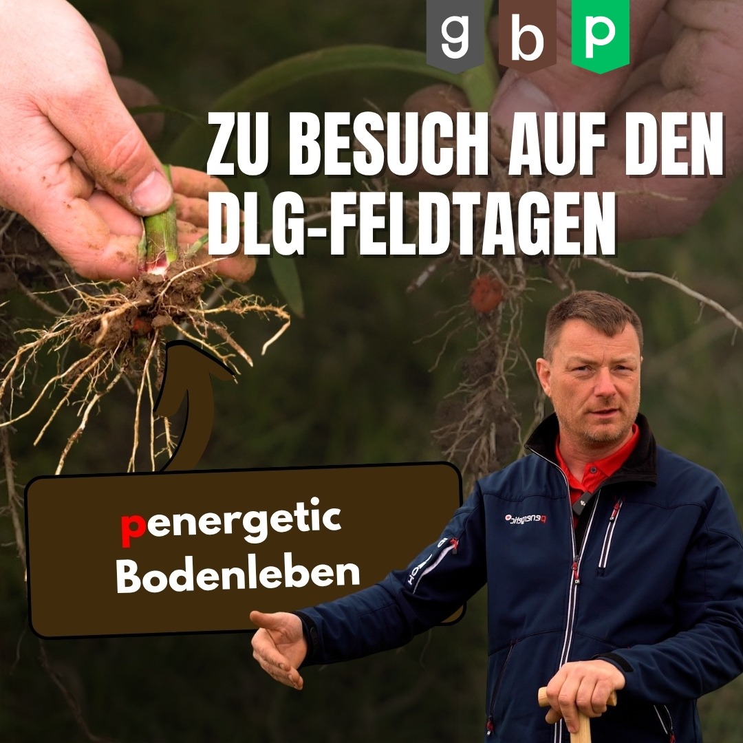 DLG-Feldtage Bodenleben | Juni 2024