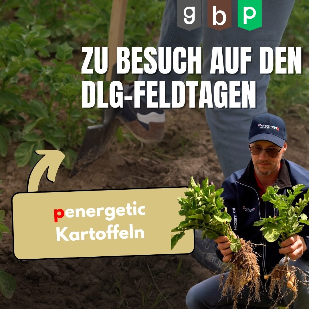 DLG-Feldtage Kartoffeln | Juni 2024