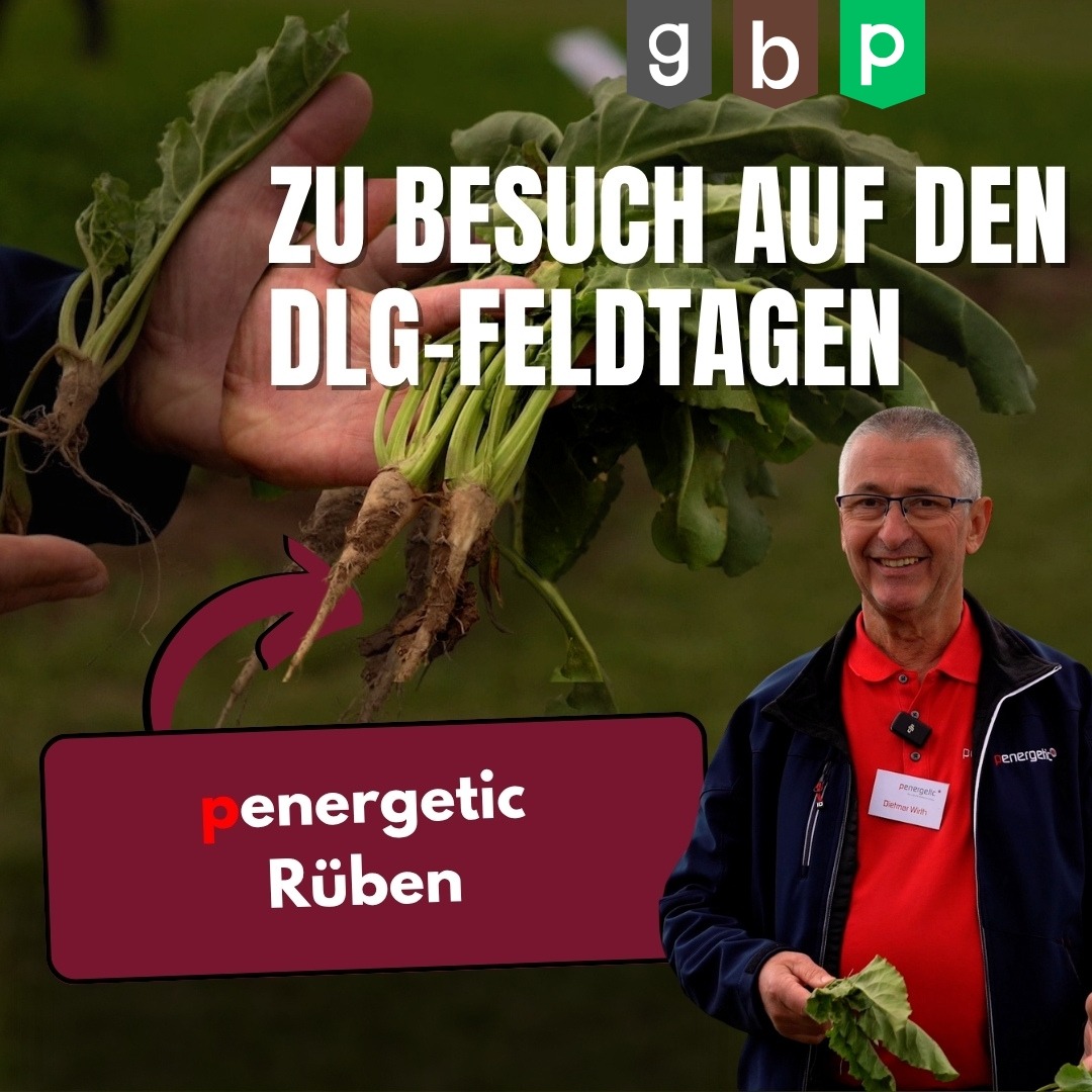 DLG-Feldtage Rüben | Juni 2024