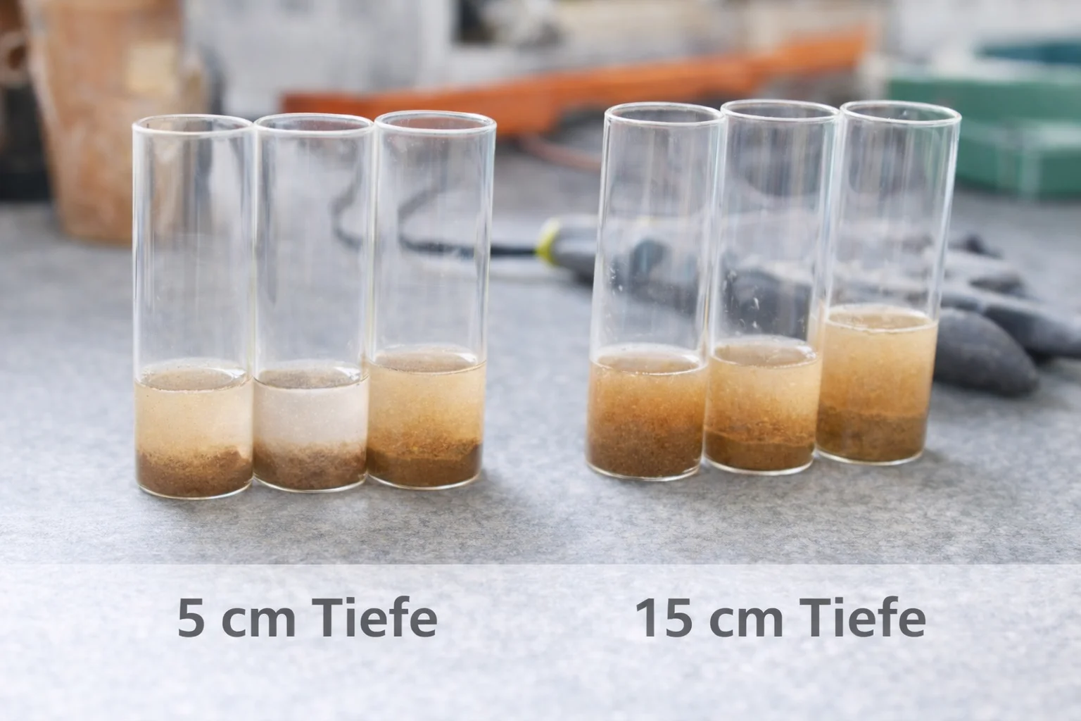 Schlechte Gülle: Bodenprobe mit starker Auswaschung, 5 cm und 15 cm Tiefe